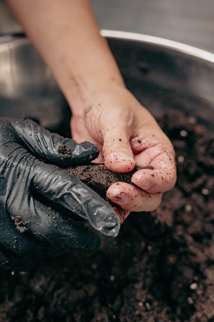 Chef Michael笑稱廚房有時就跟花圃一樣，充滿來自雲林當地的土壤氣息。業者提供