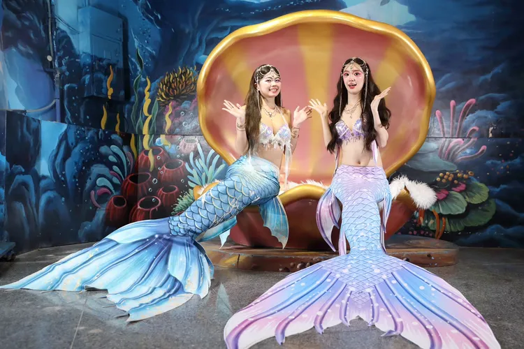 美人魚主題夜未眠行程，可與人魚表演者互動拍照。遠雄海洋公園提供