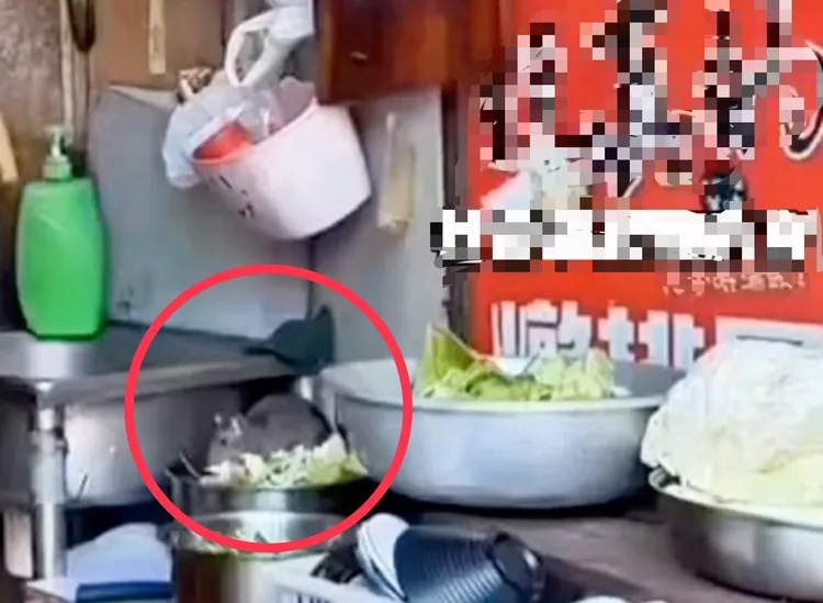 拍攝角度問題，原PO以為是臭豆腐店，有眼尖網友發現應該是「隔壁的」。取自「社會事新聞影音」