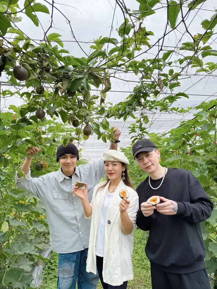 鼓鼓（左起）丁噹和蕭秉治《GDX走花路》將進入尾聲。相信音樂提供