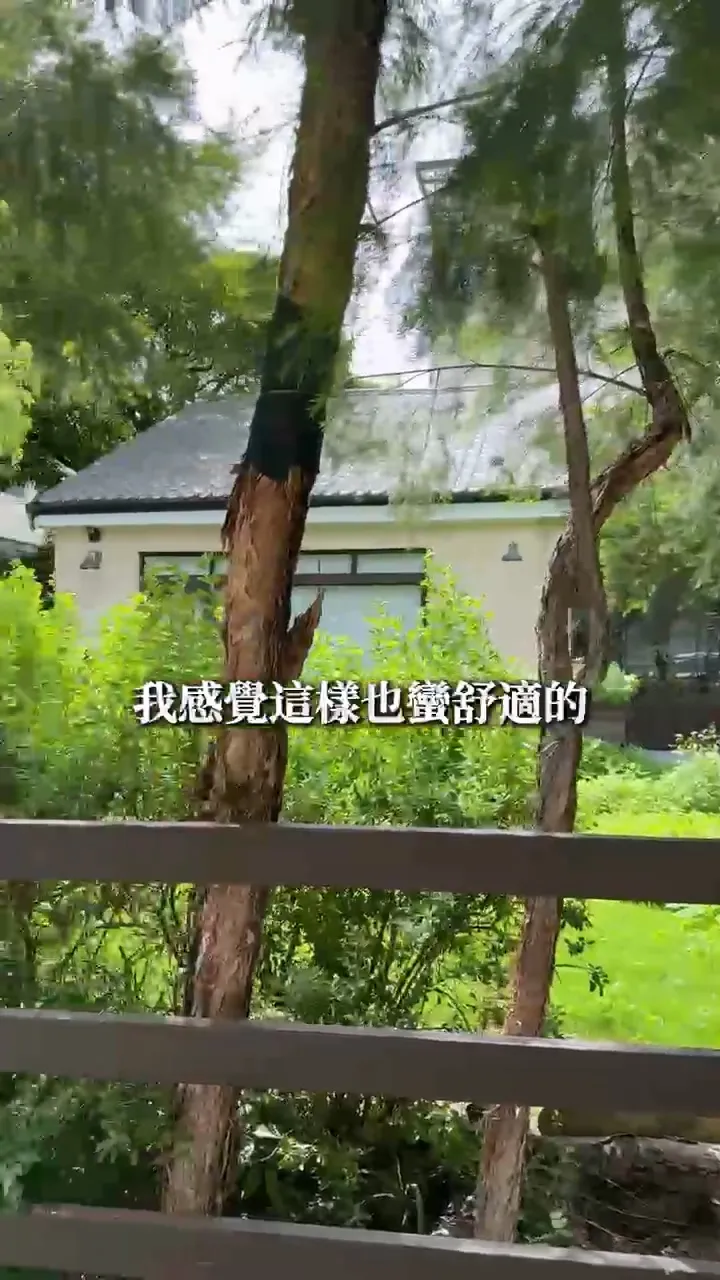 被害人參觀幼兒園覺得環境很好，因而拿錢出來投資。民眾提供