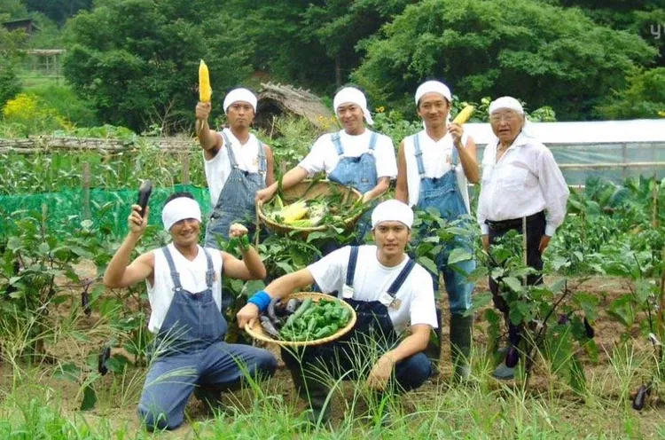 TOKIO建設DASH村被封為農業偶像。翻攝X