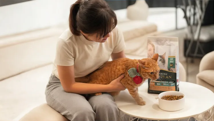 雀巢普瑞納有近500位科學家、獸醫與寵物營養專家，每年投資超過1億美元經費，從研究到產品創新，致力推動寵物營養與福祉的升級革新。業者提供