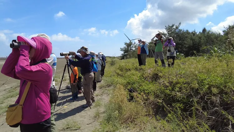 桃園市野鳥協會志工賞鳥及記錄。桃園市野鳥學會提供