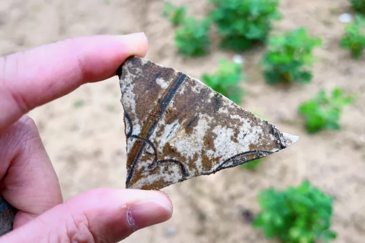 實際進入遺址現場，深入貢寮區600年歷史的仁里遺址。館方提供