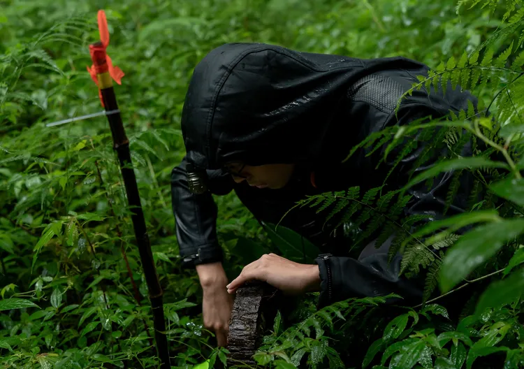 山椒魚嬌小、行蹤隱密，研究人員每天凌晨就要出發上山，背著裝備翻越石堆、冰冷溪谷，只為一瞥牠們的身影。台灣大提供