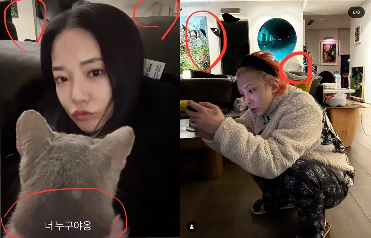 李周妍（左圖）最近在IG限動上傳生活照，背景疑似是GD家，抱著GD的愛貓。翻攝李周妍、GD IG