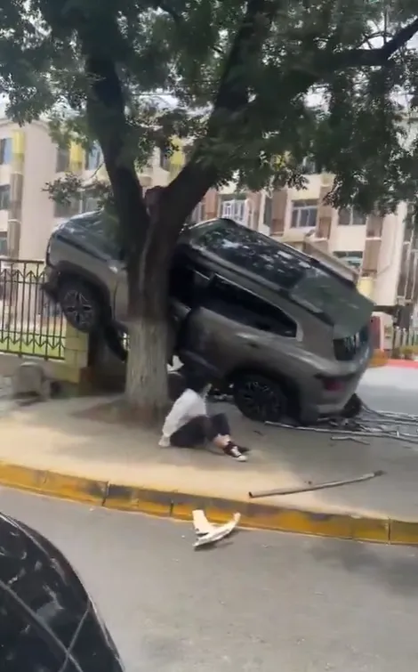 休旅車最後卡在樹上才停。翻攝自X