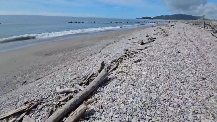 花蓮化仁海堤海邊。民眾提供