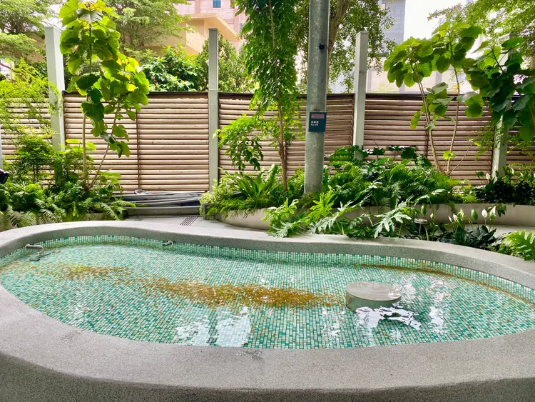 SPA區有溫泉魚池可體驗咬腳皮。莊偉祺攝