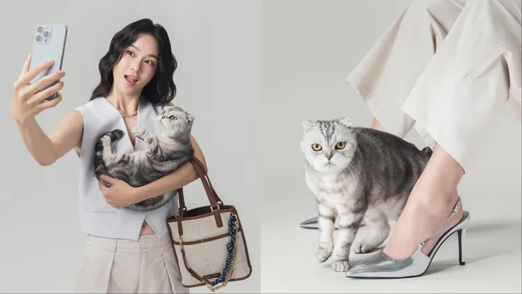 鍾瑶手挽Addison手提包並抱著貓咪自拍。品牌提供