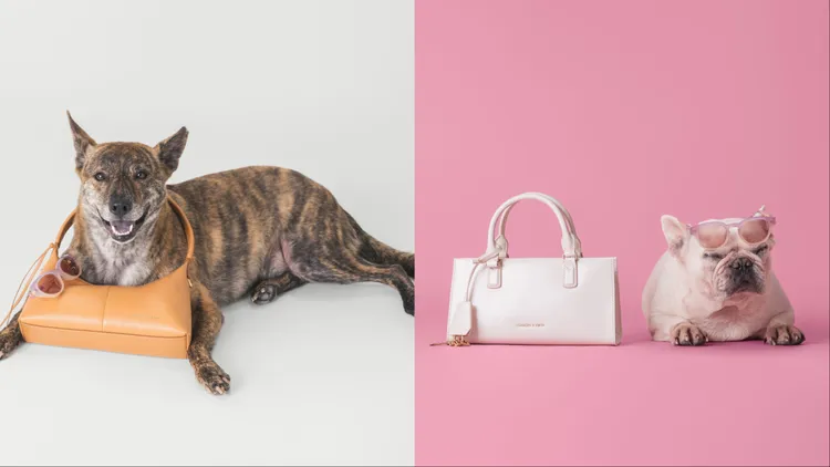 CHARLES & KEITH推出全新企劃《浪浪找真愛》。品牌提供