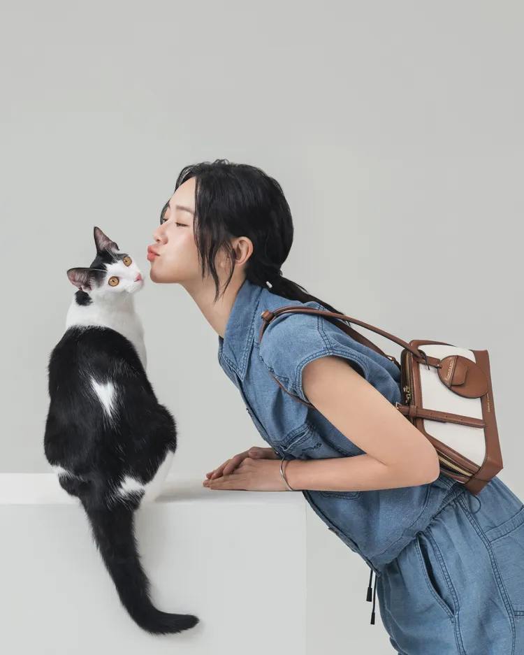 鍾瑶與貓咪一同為CHARLES & KEITH新品帶貨。品牌提供