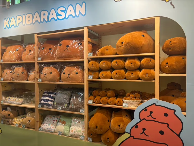 「水豚君」20週年快閃店現場特別準備限量發售周邊商品。業者提供