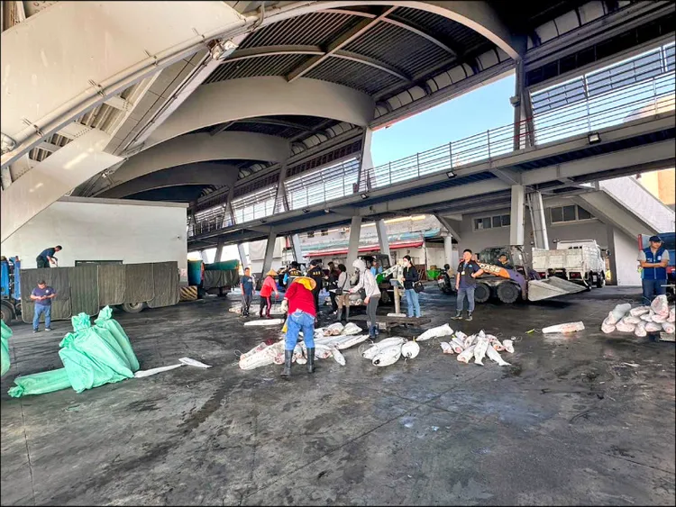 檢察官偕同專案小組搜索被檢舉的漁船，清查魚獲。資照　屏檢提供