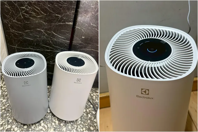 伊萊克斯FlowA3空氣清淨機買1送1，兩台只要6618元。翻攝《momo網購好物交流》社團