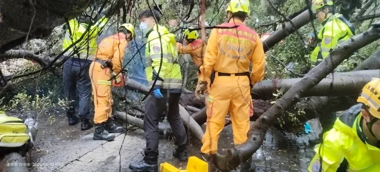 現場1名23歲男學生被大樹壓中，救出時已無生命跡象，送醫搶救。民眾提供