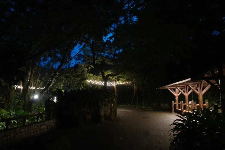 首度夜間開放沙漠澳洲動物區可進行野餐體驗區。台北市立動物園提供