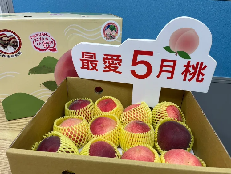 來自復興區的「五月桃」，也被稱為「媽媽桃」，每年5至7月為主要產季，盛產期落在母親節前後。業者提供