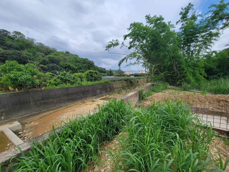 大樹區和山光電發電案造成大面積地表裸露。立委柯志恩辦公室提供