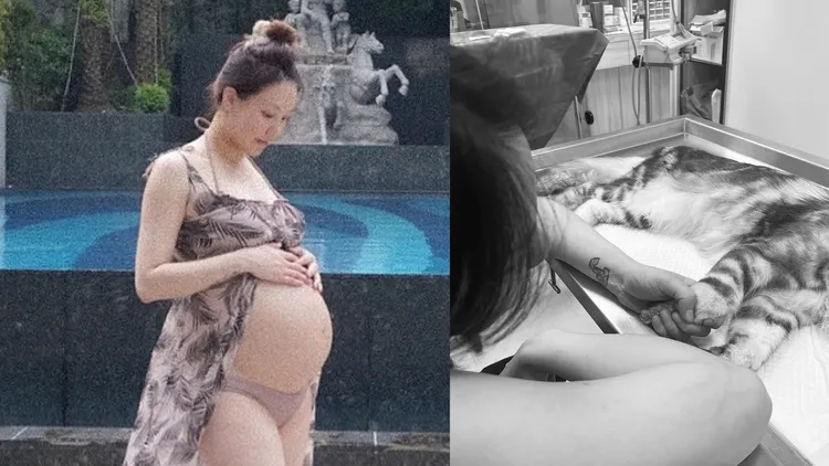 劉雨柔不捨1歲半愛貓猝逝。翻攝劉雨柔臉書