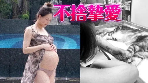 刘雨柔生产倒数遭逢巨变 恸哭「妈妈的肚子等你回来」