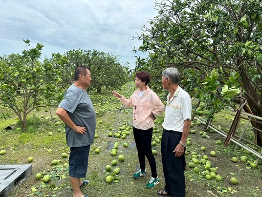 丹娜絲重創南台灣!陳亭妃籲「比照蘇迪勒災後貸款首年免息」