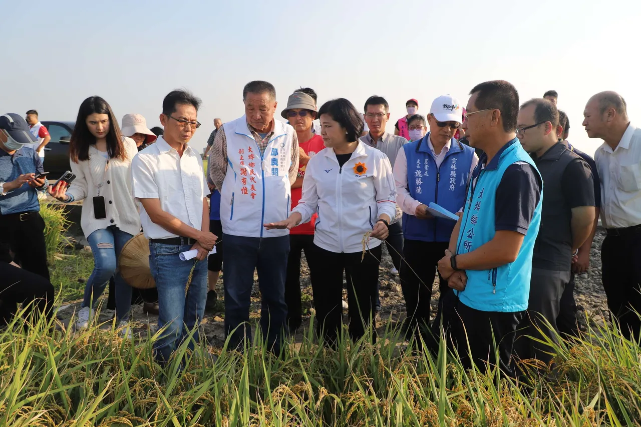 张丽善担忧,若开放美国稻米大量进口,恐对农村及产业链造成冲击。云林县政府提供