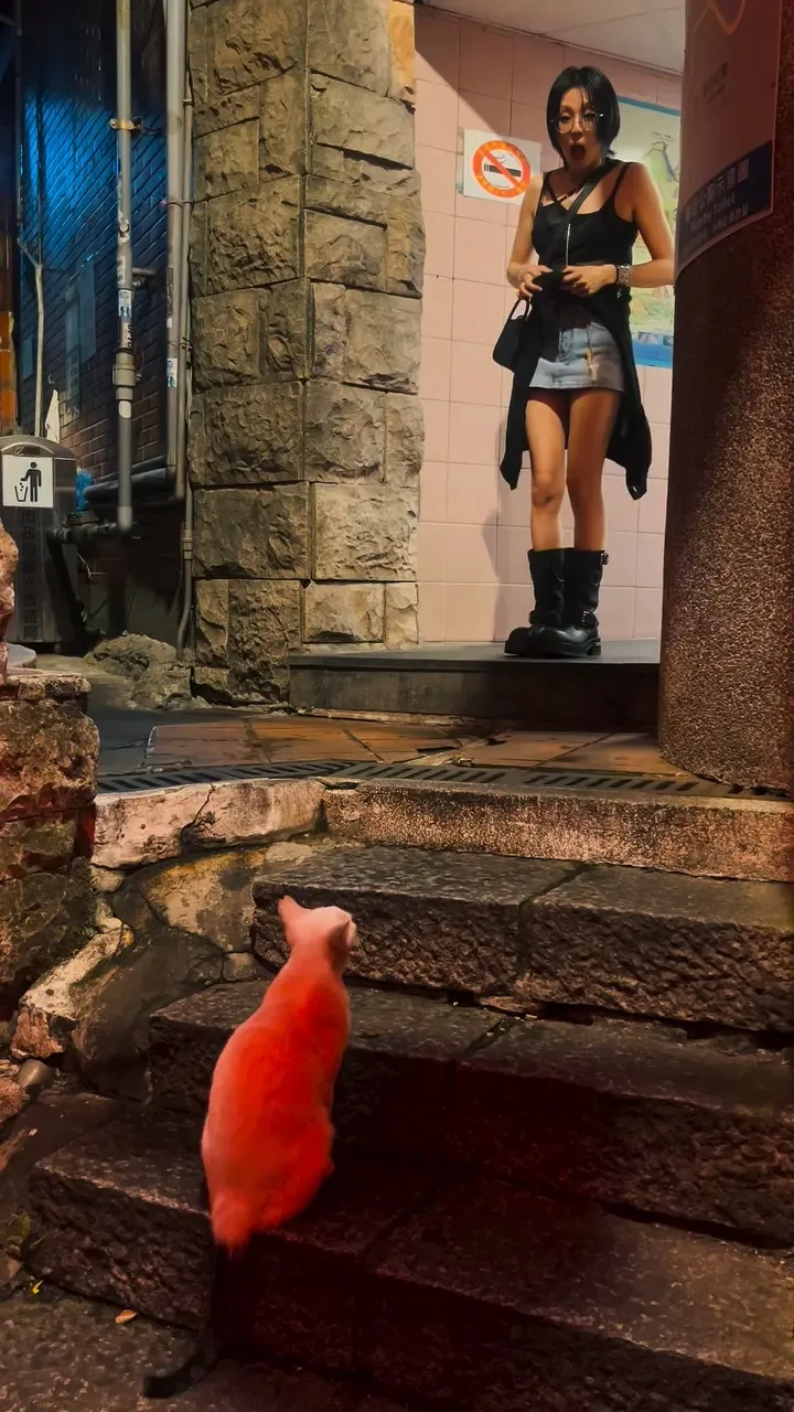 柴崎幸走出公廁看到貓咪像是在等待她，不禁驚訝地張大嘴巴。翻攝柴崎幸IG