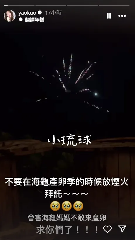 郭書瑤希望大家不要在海龜產卵季放煙火。翻攝郭書瑤IG