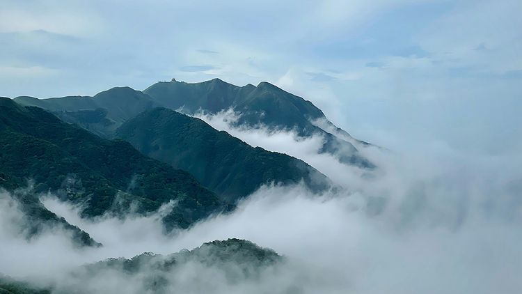被25:0完封！挺罷方改金句「我那小小多山智力不高的國家」