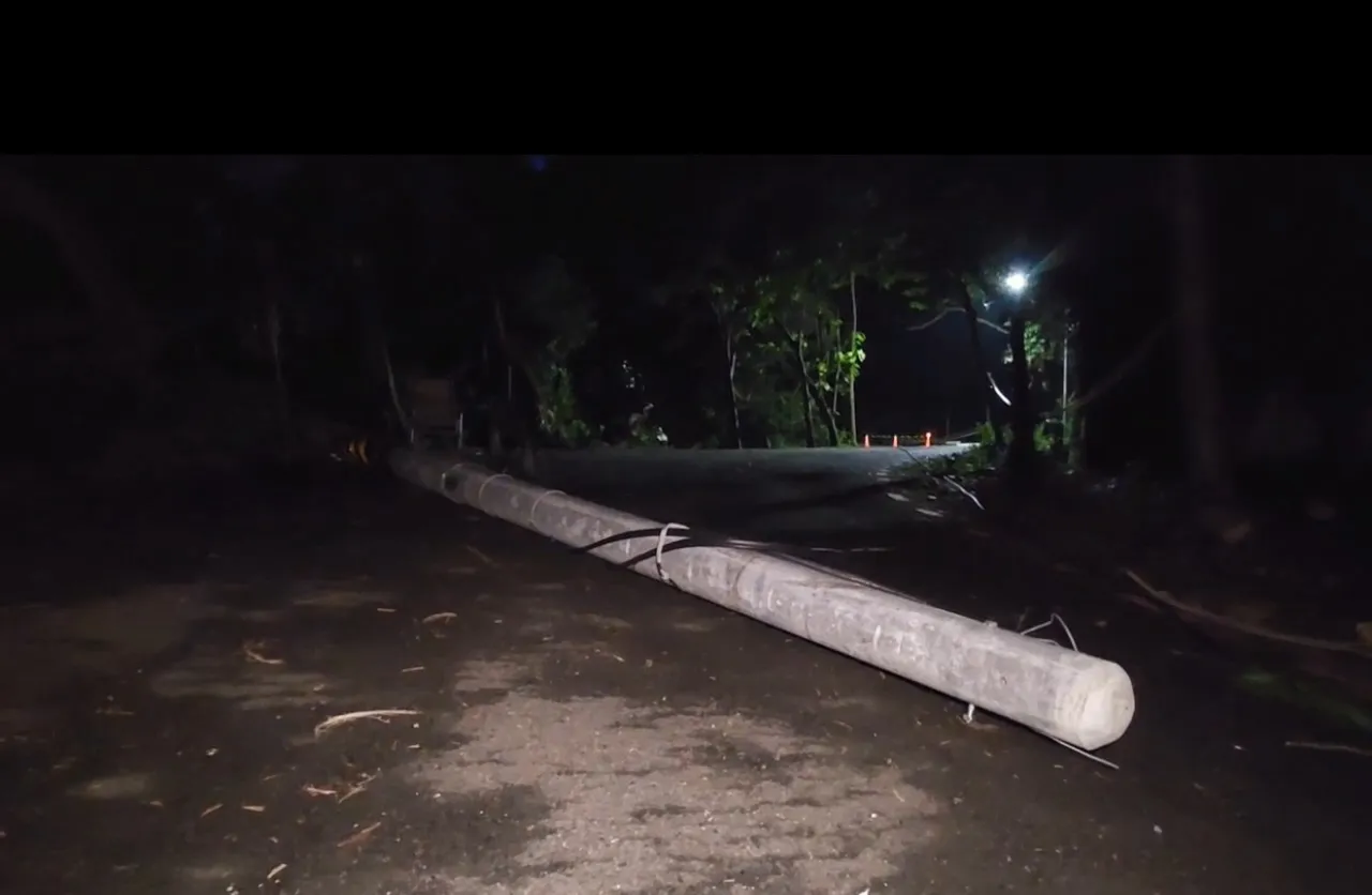 货车扯到电线,连电杆都拉断,登山客行经时惨遭砸中,右脚掌开放性骨折,肋骨也断了。民众提供
