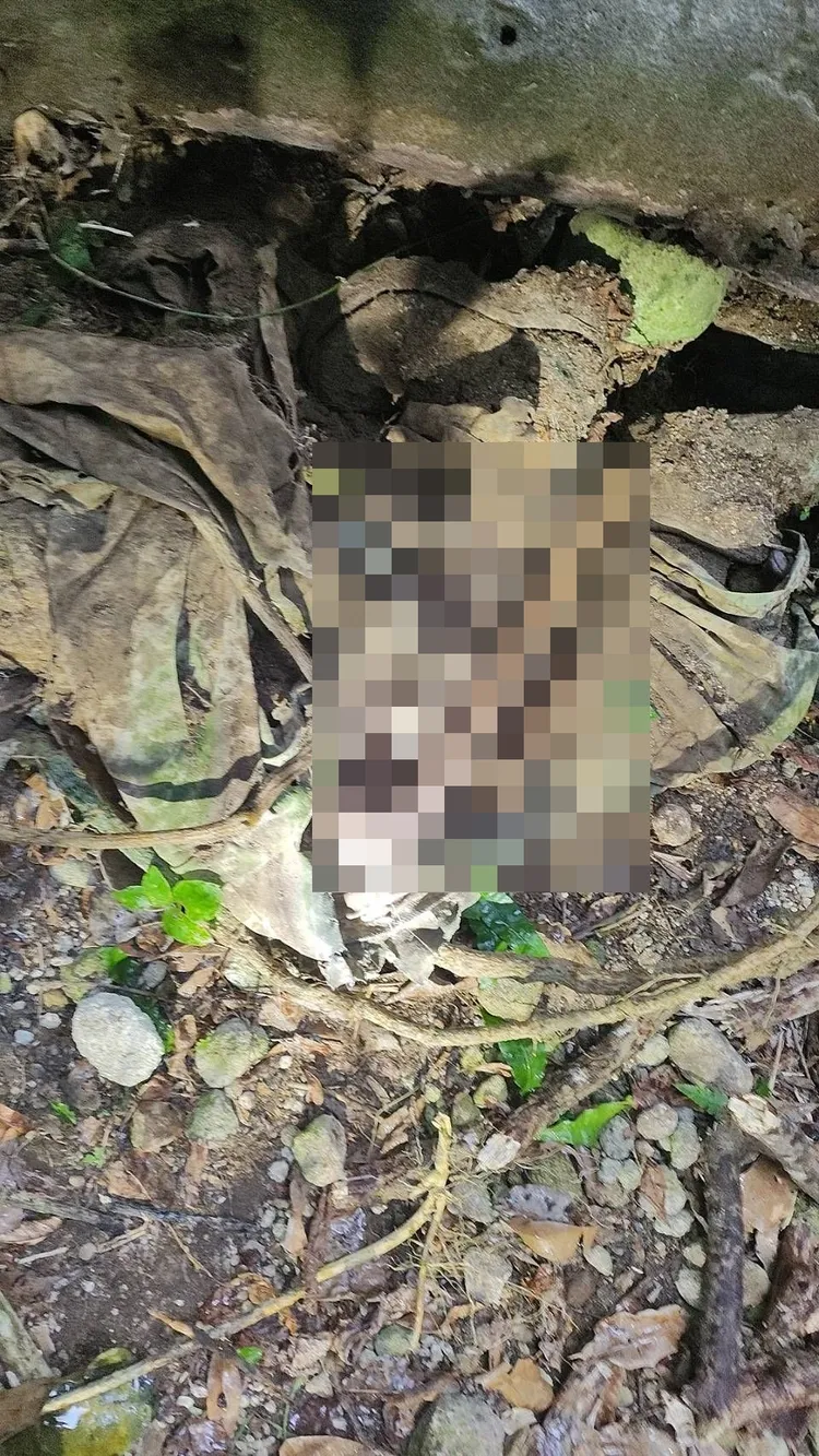 警方現場勘驗發現人類腿骨。翻攝畫面