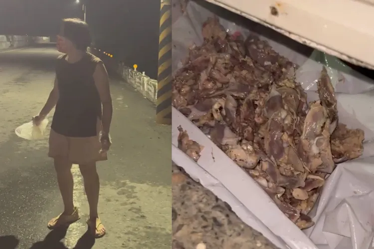 當地類似狀況非同一遭，經調查有人餵養才會造成犬隻聚集。民眾提供