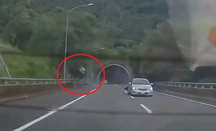 休旅車追撞前車後翻落邊坡。民眾提供