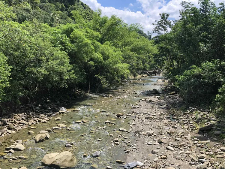 黃蝶翠谷。美濃愛鄉協進會提供