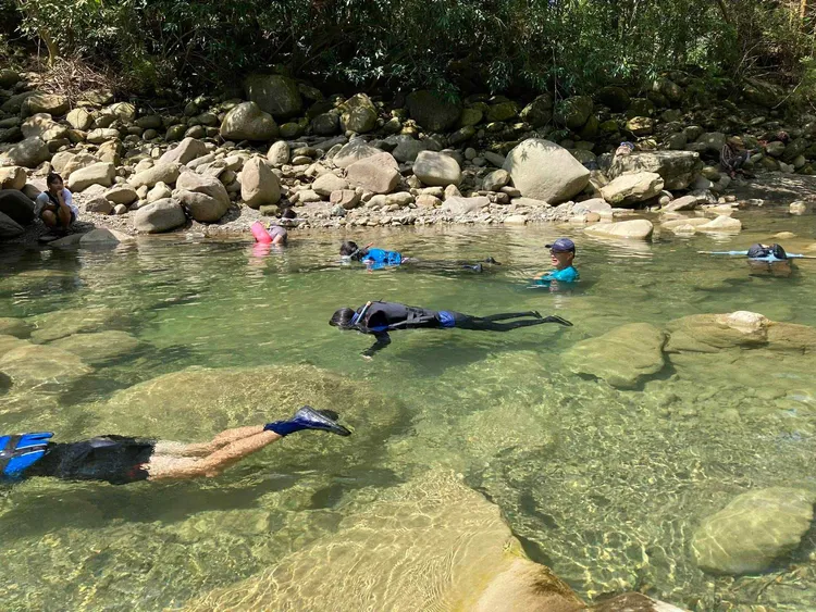 生態趴溪帶領學員親自走入溪流，近距離觀察水中生物。美濃愛鄉協進會提供