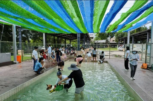 桃園打造全台首座公立寵物戲水池 毛小孩水樂園明天正式啟用