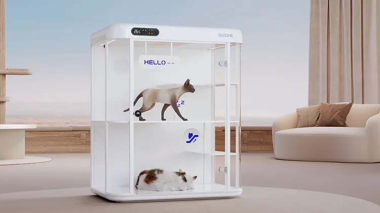 GIXONE 寵物智能艙7月上市，德國紅點與iF雙料設計大獎加持，為毛孩打造專業級的極致照護環境。聯合東方提供