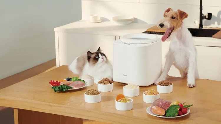FASSNER 寵物鮮食調理機將於9月上市，85°C低溫鎖鮮技術完美保留營養，一鍵啟動六種智能模式，2.5L大容量讓忙碌飼主也能為愛寵製作數日健康鮮食。聯合東方提供