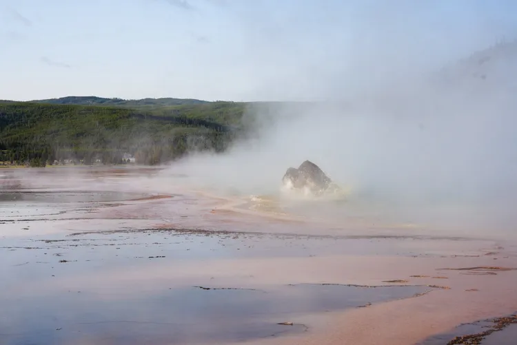野牛拼命掙扎。翻攝自臉書