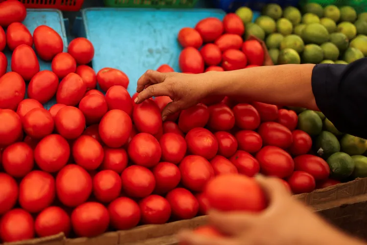 墨西哥番茄將面臨17%關稅。路透社