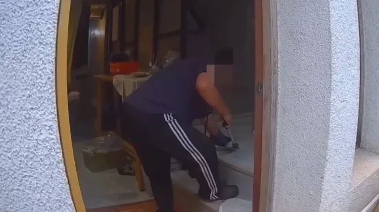 專業人員抵達後，隨即捕捉小眼鏡蛇。翻攝畫面