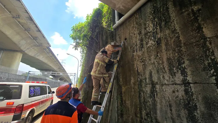 警消架梯將人救下，婦人相當狼狽，所幸並無大礙。民眾提供