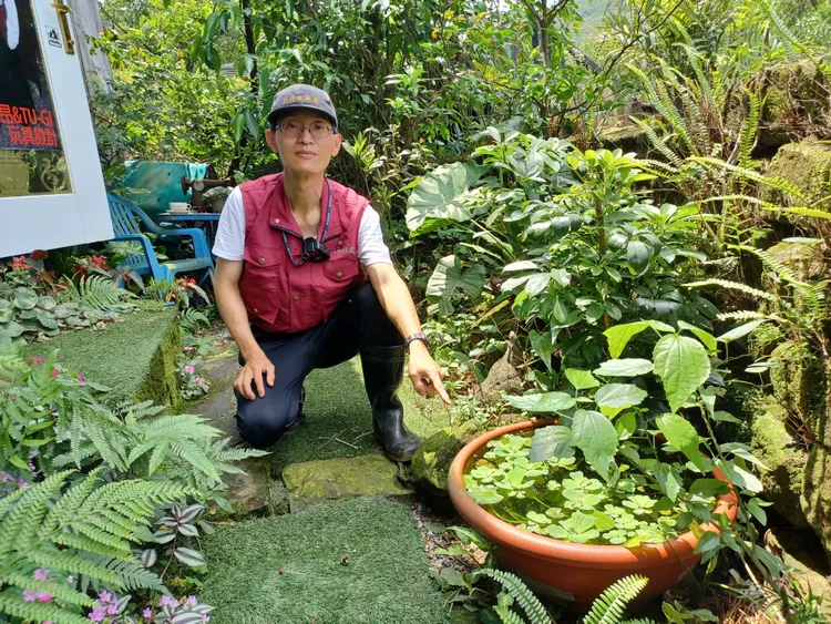 民眾欲享受半開放庭園生活，就有因青蛙引來蛇類的風險。動保處提供
