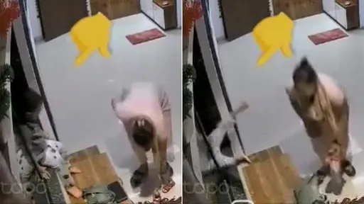 惊悚影片|窗边鞋柜等穿鞋 4岁女童倒栽坠落12楼丧命