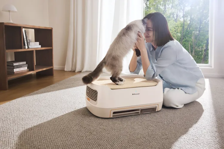 Bururu的核心設計從風道結構到濾材組成都為寵物量身打造，主打飛毛不堵濾網與異味深層分解兩大特色，專為毛孩生活空間設計。恆隆行推薦