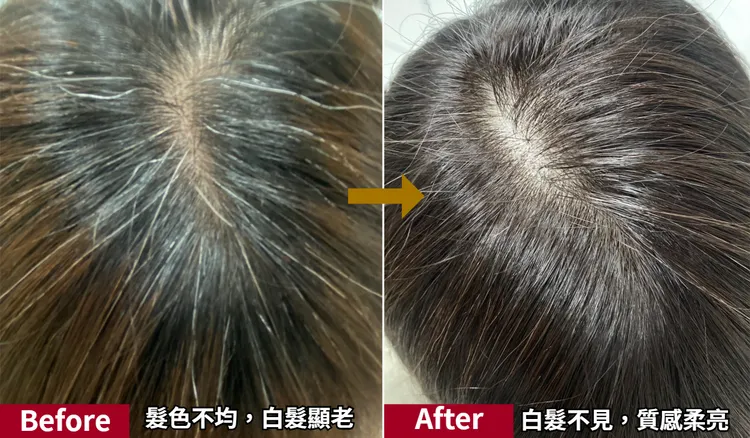 染前頭頂可見明顯白髮，讓人看起來特別老氣，染後白髮看不見，整個質感大加分。