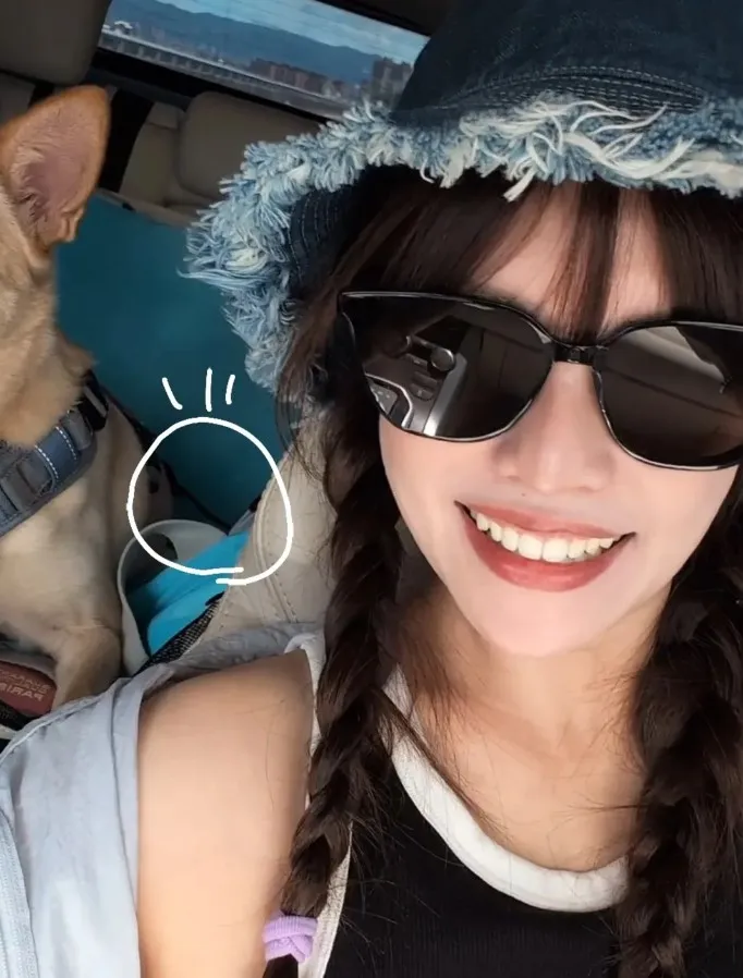 夏宇童表示有幫愛犬繫安全帶。翻攝夏宇童Threads