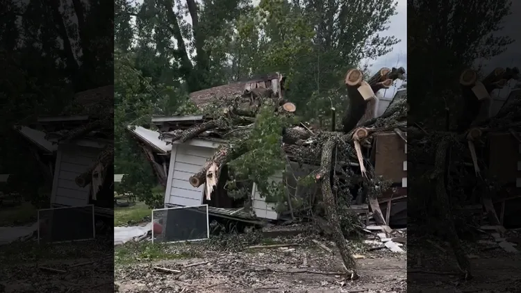 現場在6月底時，樹枝雖被鋸掉，但樹幹仍壓在房子上。翻攝自亨利IG